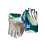 ASUSA JRS wickets keeping gloves ( Youth )