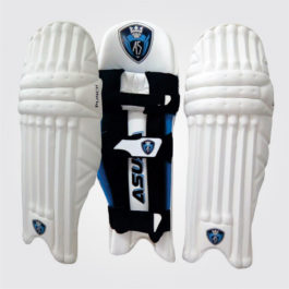 Batting Pads