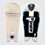 Pro Punch Wicket Keeping Pad