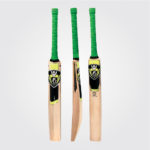 Technique Training Cricket Bat ( ENGLISH WILLOW )