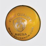 INDOOR TRAINING CRICKET BALL ( 130g )