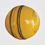 INDOOR TRAINING CRICKET BALL ( 130g )